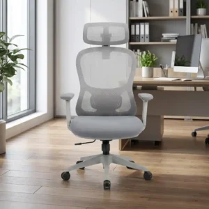 Modern Ergonomic Office Chair