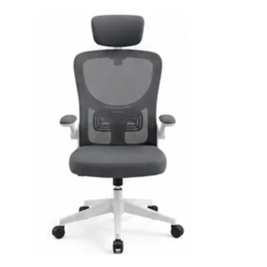 OC-89C ProPosture Dual-Tone Ergonomic Chair