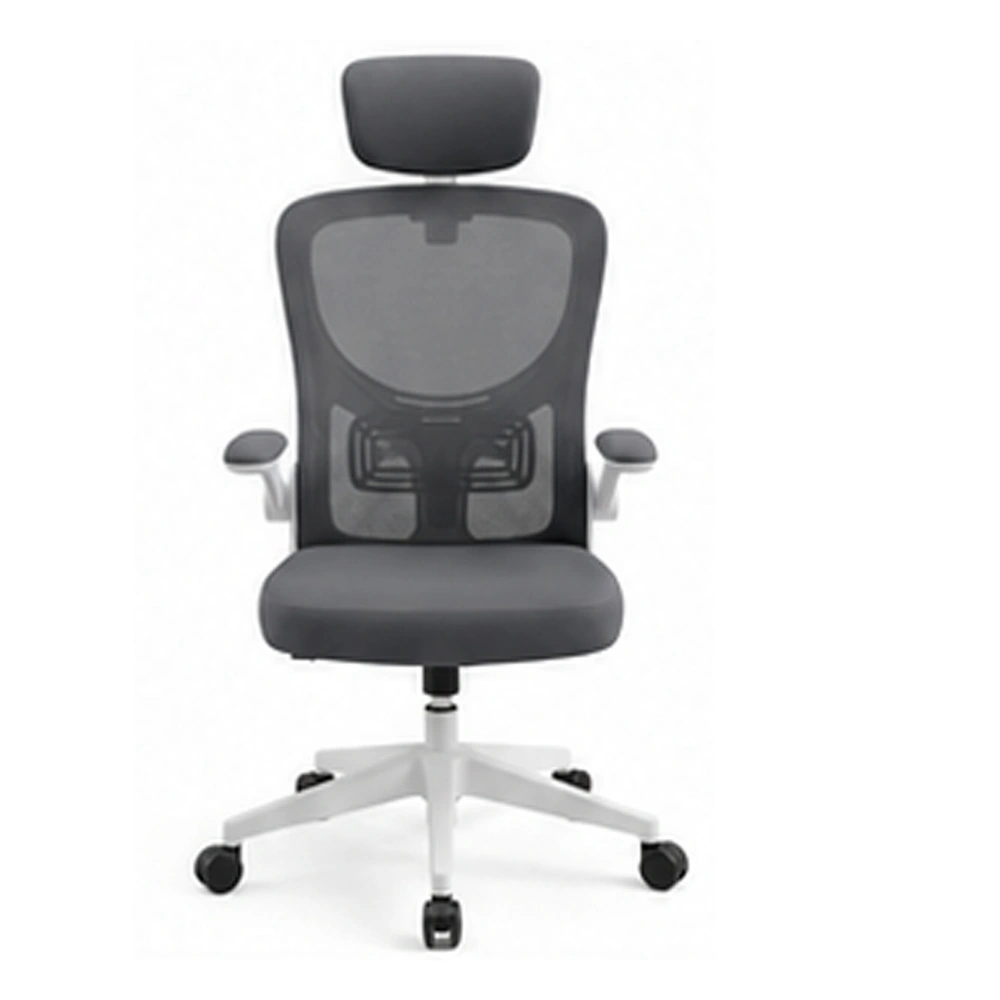 OC-89C ProPosture Dual-Tone Ergonomic Chair