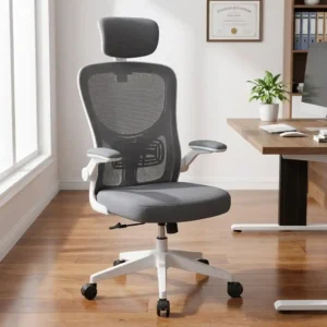 ProPosture Dual-Tone Ergonomic Chair