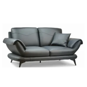 Luna Curve 2-Seater Sofa – Black