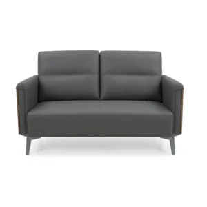 Modern 2-Seater Sofa – Grey