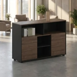 Office Storage Cabinet