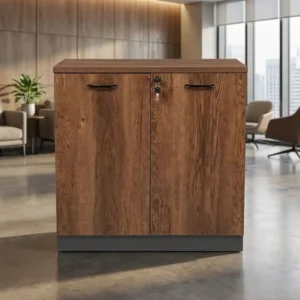 Office Storage Cabinet