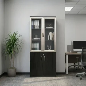 Black Contrast Glass Office Cabinet