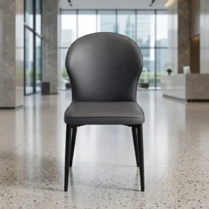 Noir Eclipse Dining Chair